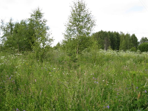 Надежда Захарова