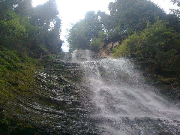 Икнтуоос Управление Охраны Окружающей Ср