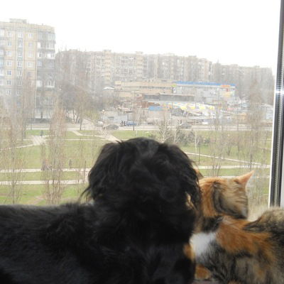 Светлана Шиян