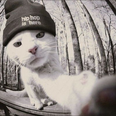 Макс Шишкин