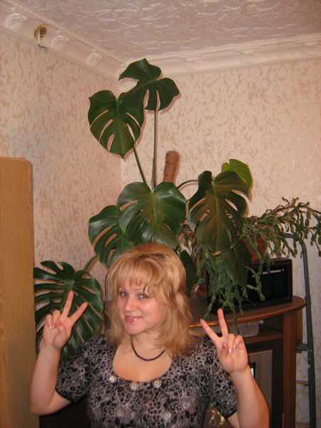 Екатерина Балаева