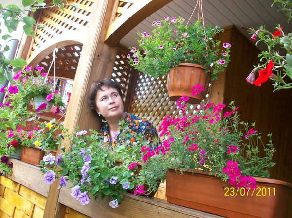 Анна Царенко