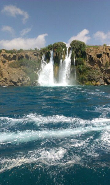 Лариса Сажина