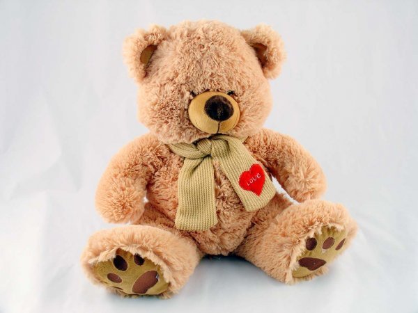 Регина Аристова