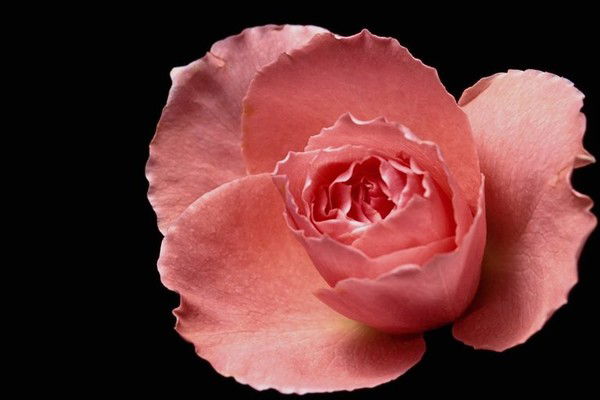 Карлыгаш Базарбековна