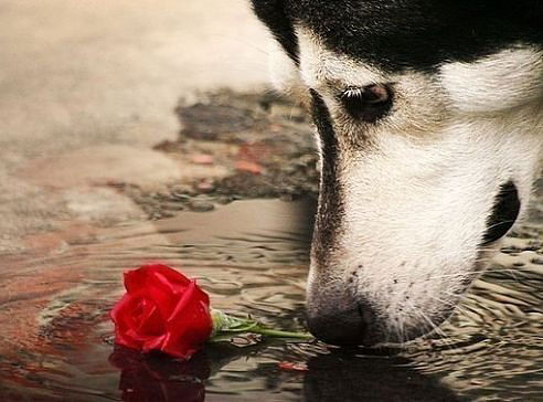 Константин Кругов