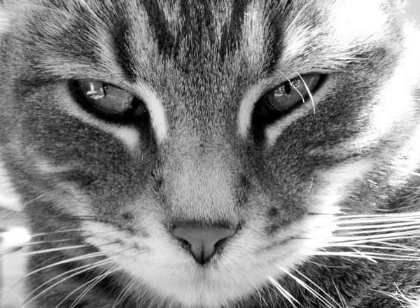 Андрей Максимов