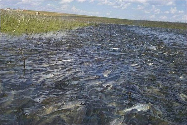 Тимофей Мартыненко