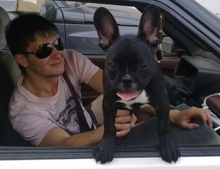 Роман Доровский