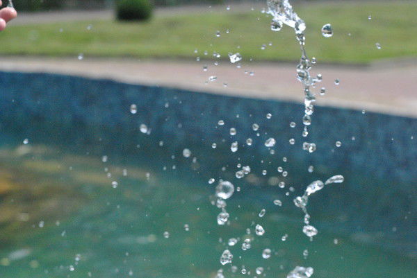 Ольга Ецкова