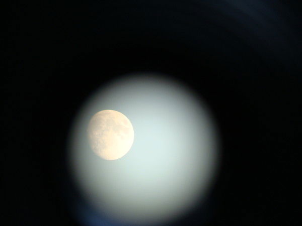 Сергей Помогаев