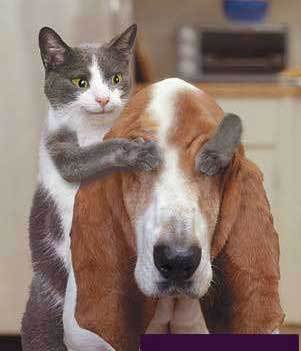 Наталья Смыслова