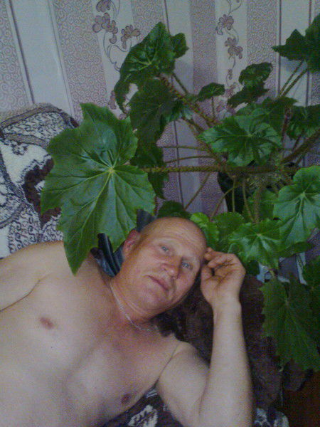 Василий Петряшов