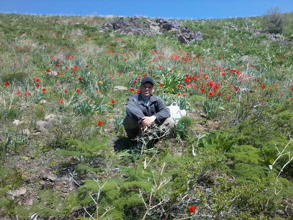 Александр Власов