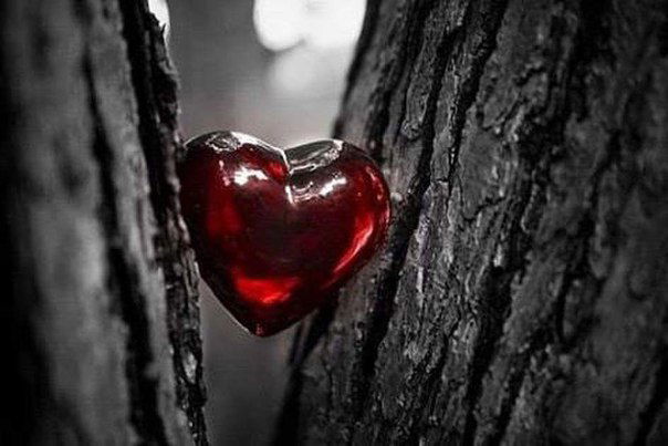 Айнур Сайфиева