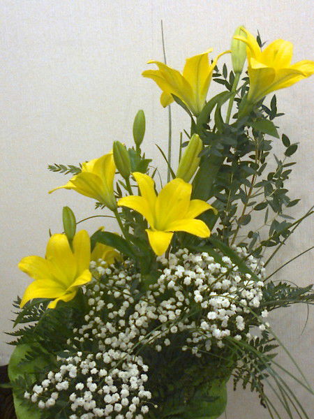 Шынар Аблгазинова