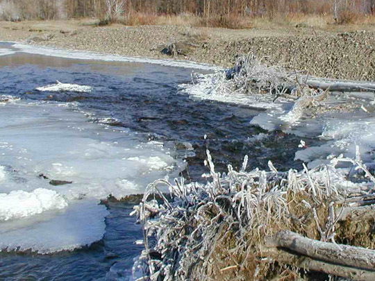 Нурлан Нурдалетов