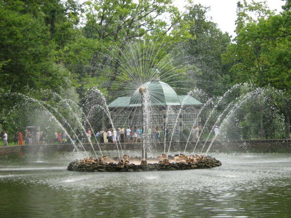 Лилия Дмитриева