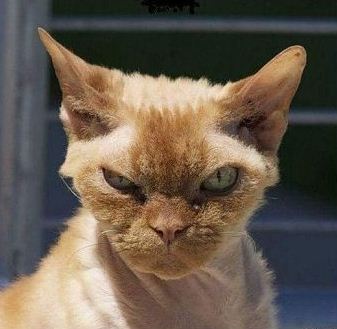 Надежда Матвеева