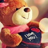 Северный Ведмедь