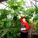 Наталья Липихина