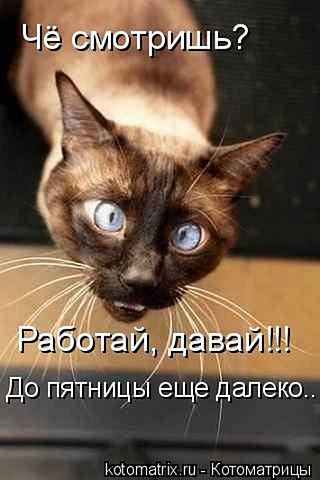 Светлана Павлунина-Васягина