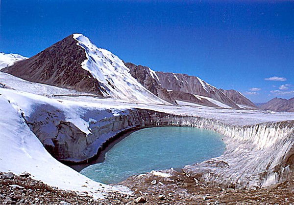 Рашид Гузоев