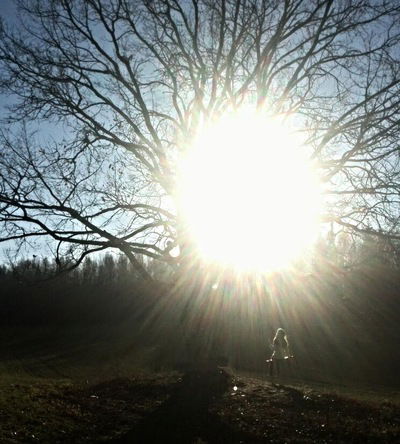 Викуля Аверина