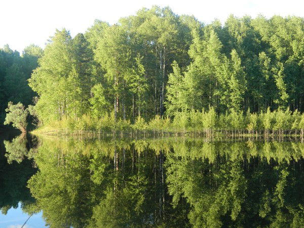 Ольга Шарафутдинова