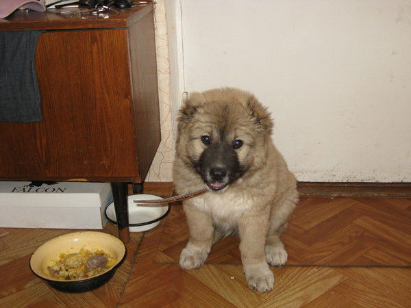 Юрий Коробов