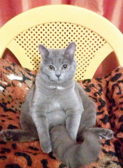 Софья Киселева