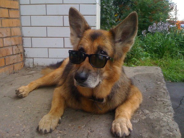 Иванов Сергей