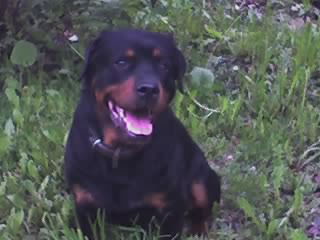 Алексей Казаков