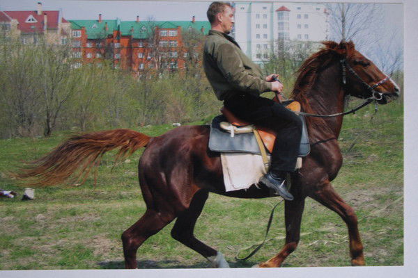 Геннадий Эльберг