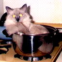 Андре Чукин