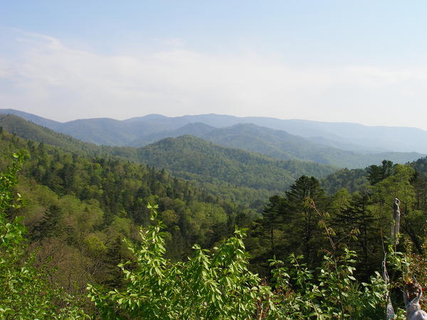 Виктор Еремицкий