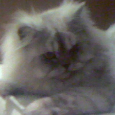 Алексей Климук