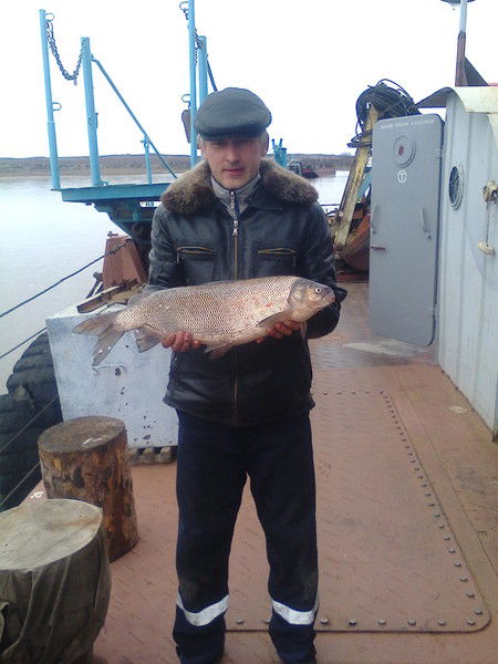 Владимир Степин