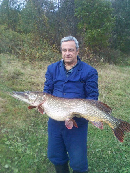 Николай Андреев