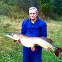 Николай Андреев