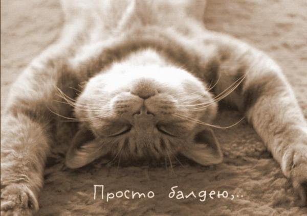 Михаил Ибрагимов