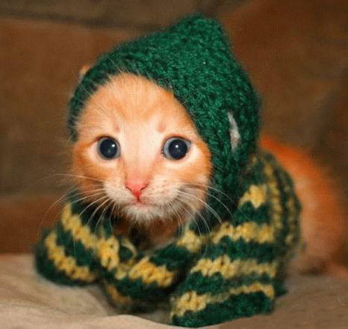 Татьяна Кравченко