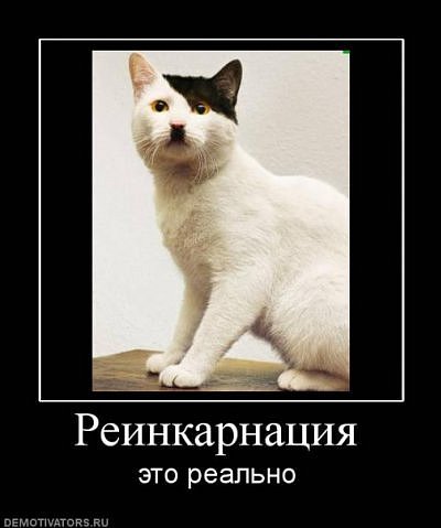 Людмила Кущ