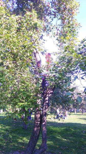 Юля Свитнева