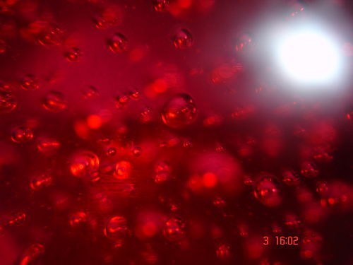 Ирина Пяточка