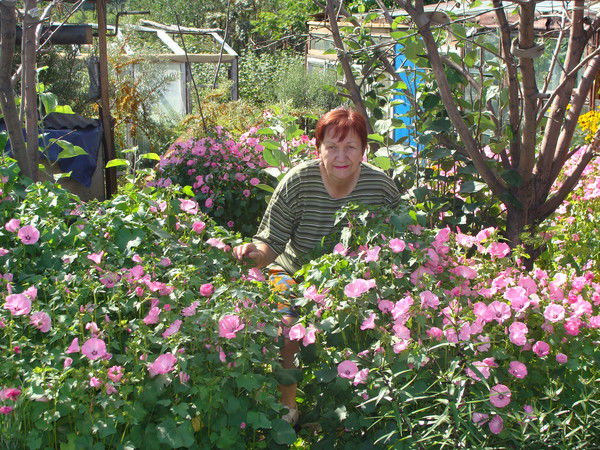 Ольга Тищенко