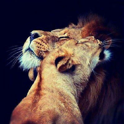 Муродов Лев