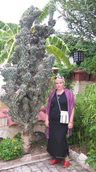 Ирина Сторожева