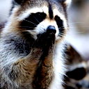 Евгений Caбитов