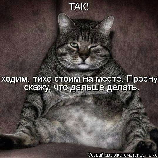 Сергей Кондрашкин